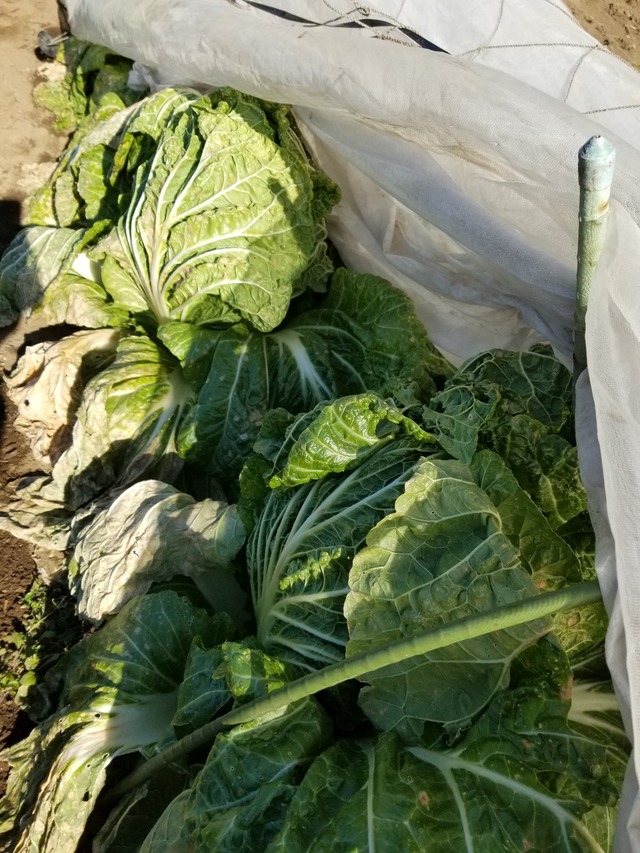 20230107_105811_copy_1512x2016