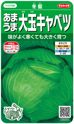 エクスブロラーエラー