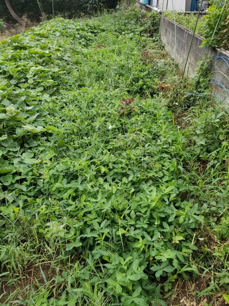 20190822_084756-1620x2160