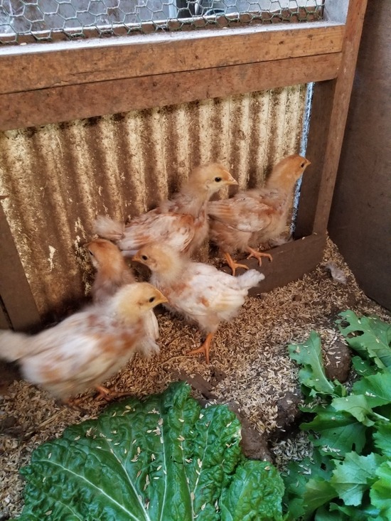 20191120_085432-1620x2160