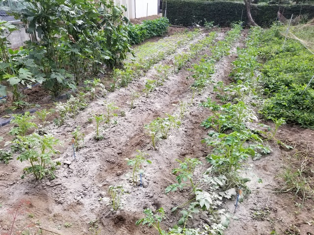 20210928_083643_copy_3024x2268_1