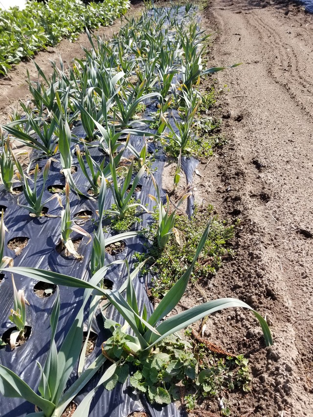 20240315_101111_copy_2268x3024