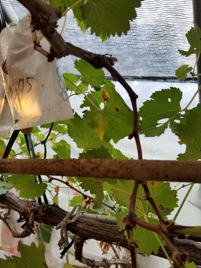 20200820_174109_copy_2268x3024