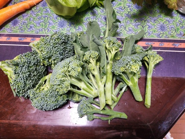 IMG_20231112_154208_DRO_copy_2016x1512