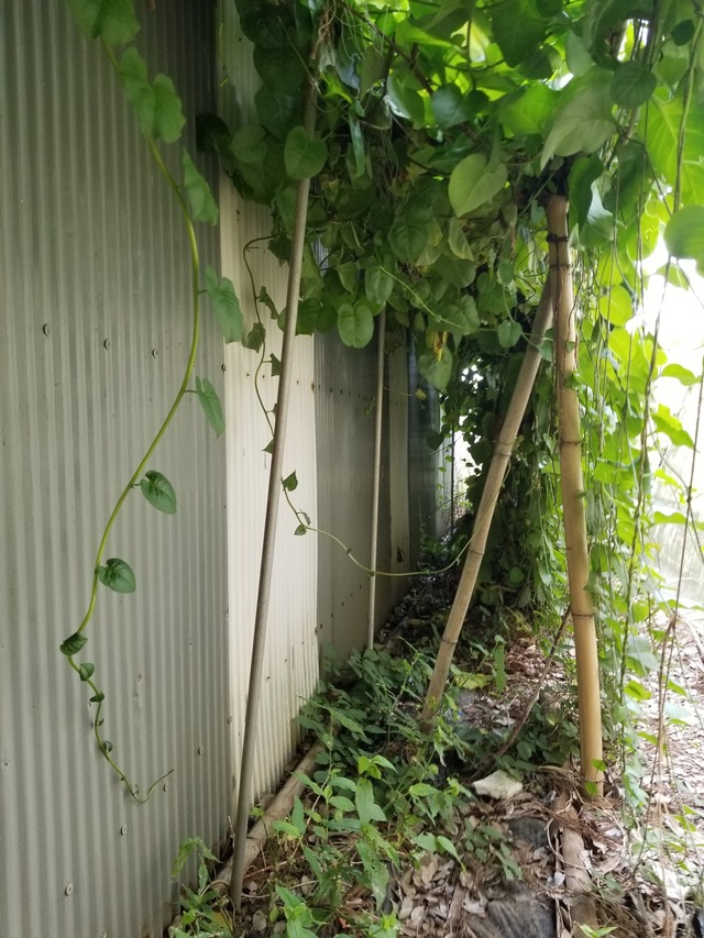 20230719_092846_copy_1512x2016