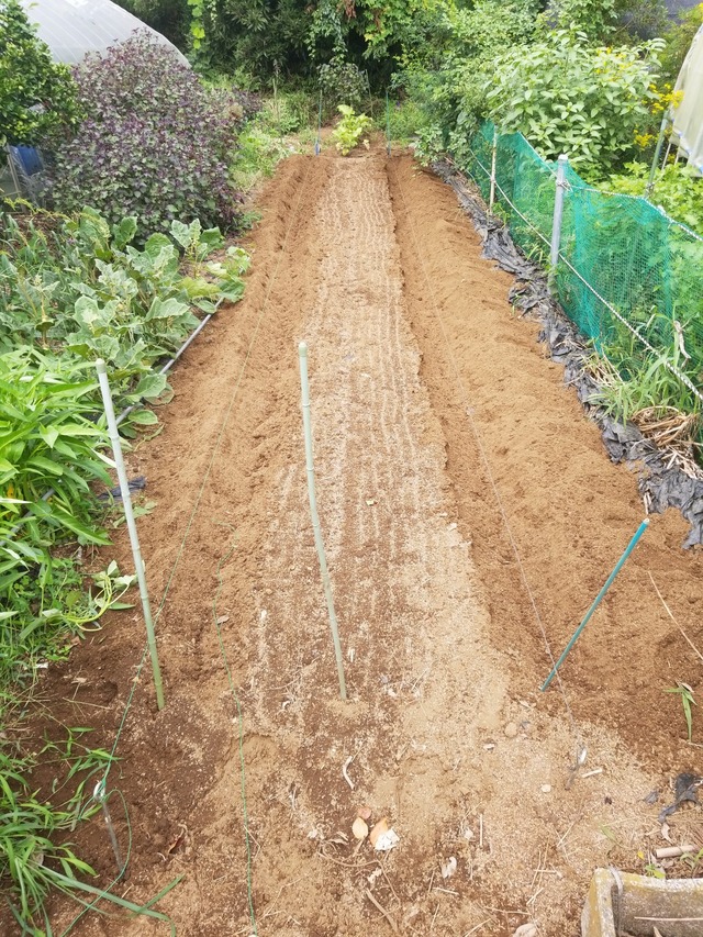 IMG_20230828_095446_copy_1512x2016