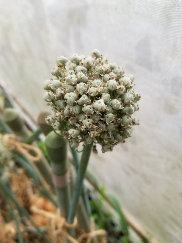 20230530_074725_copy_1512x2016