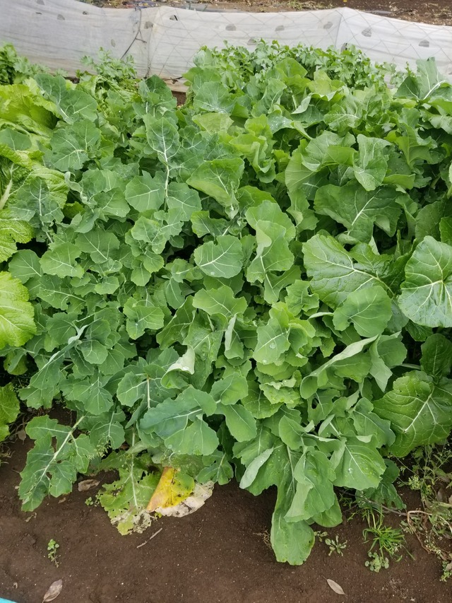 20231215_111115_copy_1512x2016