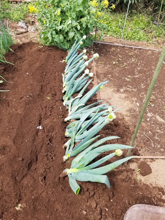 20230331_111503_copy_1512x2016