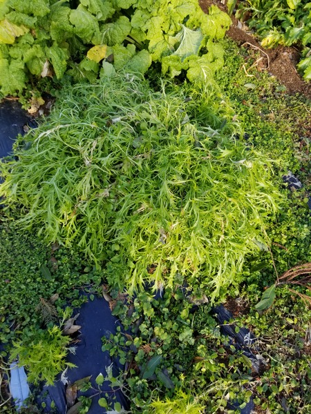 20200110_084017-2268x3024