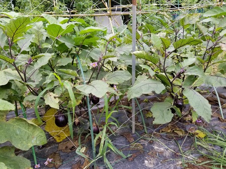 20190707_103517-2160x1620