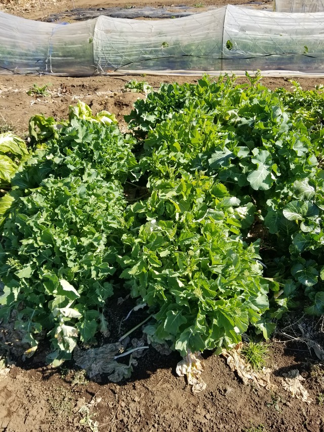 20240214_104010_copy_2268x3024