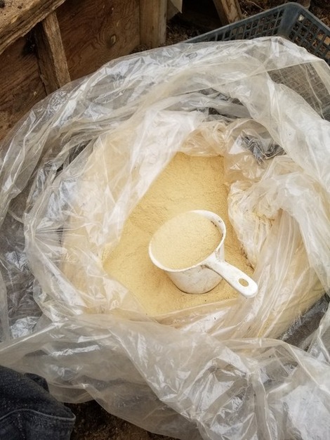 20190329_081017-1024x1365