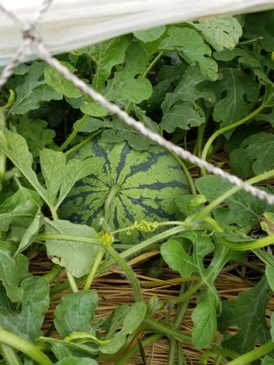 20190627_090227-831x1108