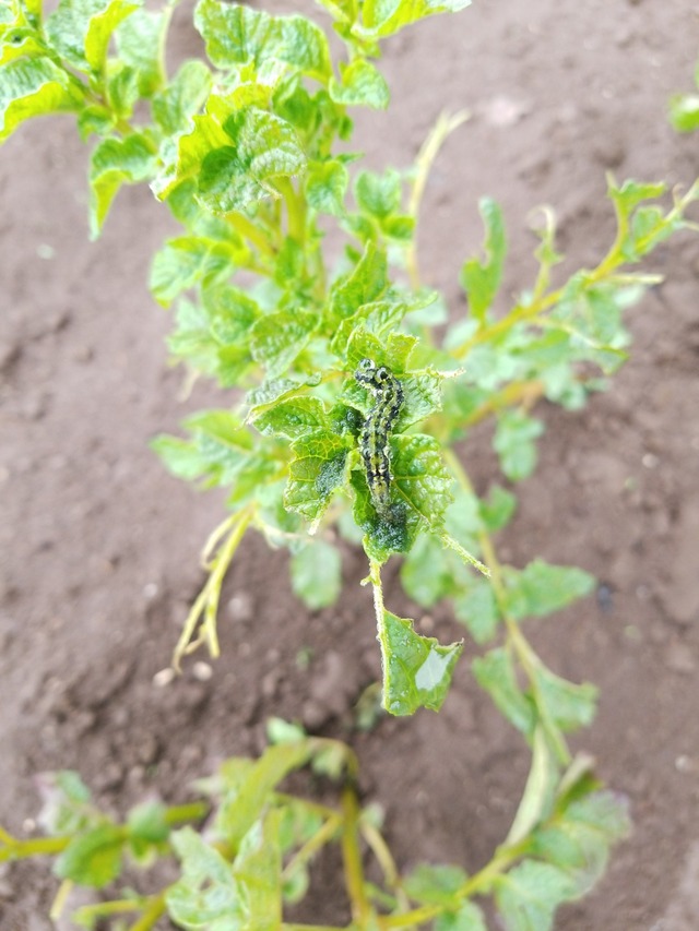 IMG_20231009_103151_copy_1512x2016