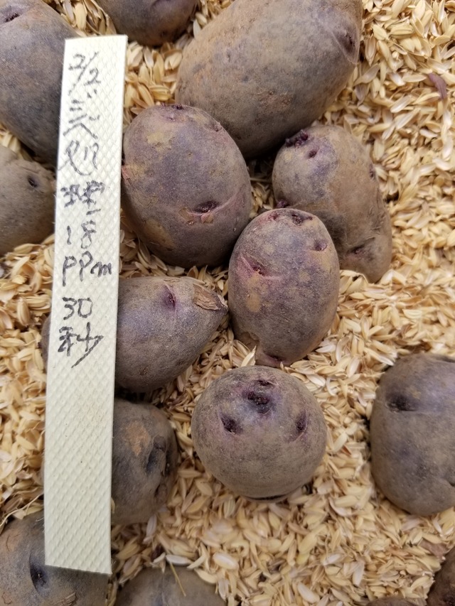 20200229_110938-2268x3024