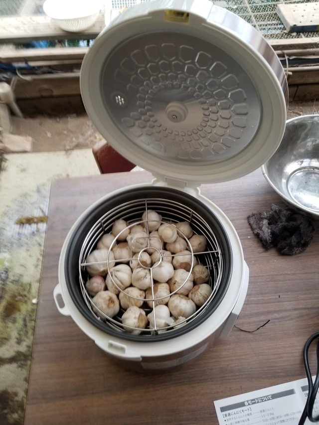 20200613_140704_copy_2268x3024
