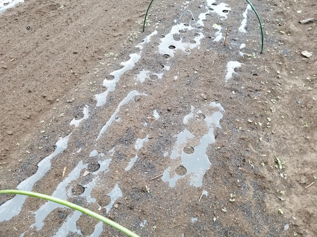 20201009_074532_copy_2268x1701