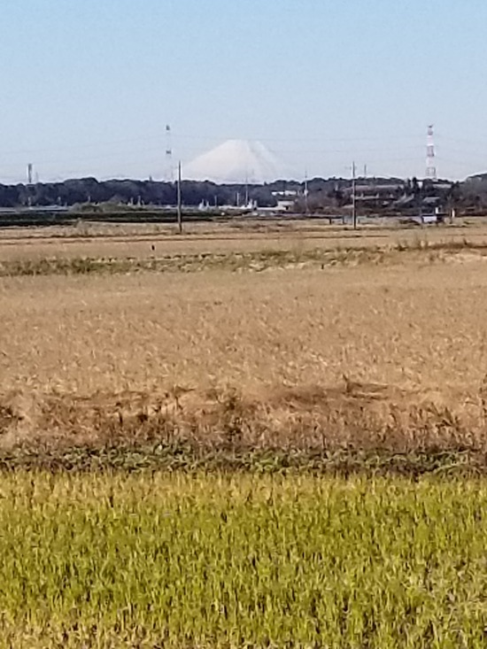 20191204_093206-1620x2160