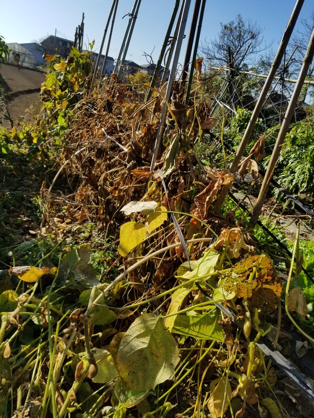 20201123_091201_copy_2268x3024