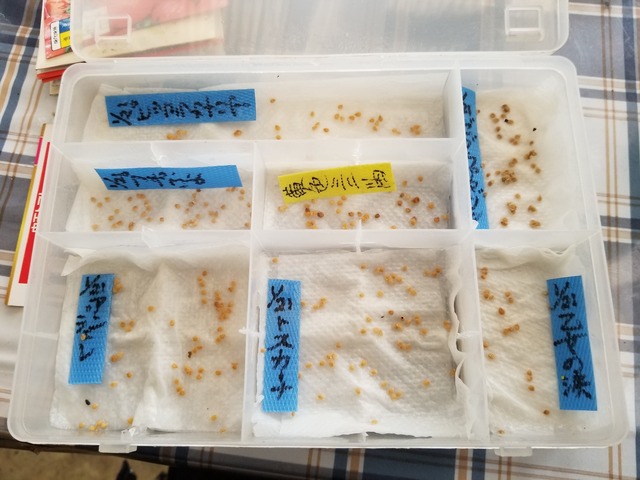 20240121_134307_copy_2016x1512