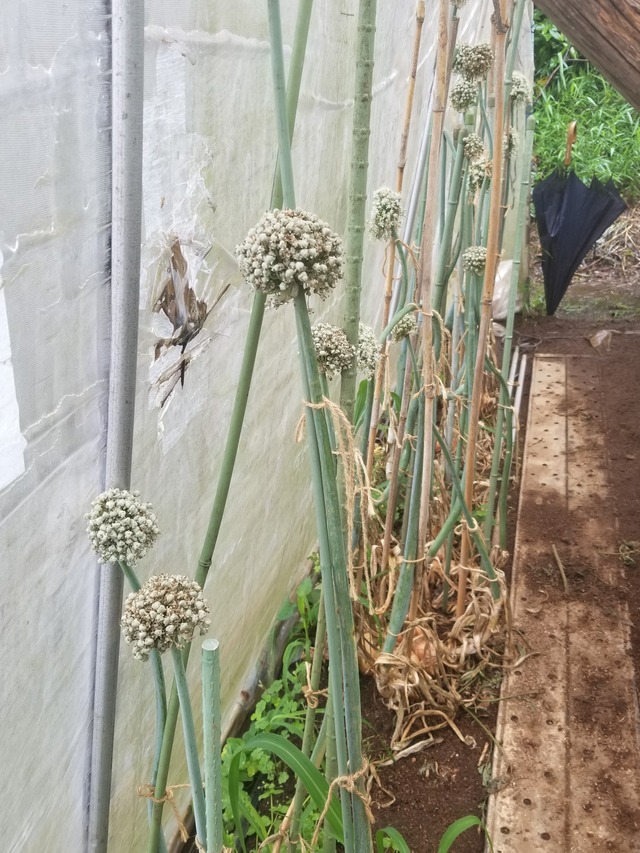 20230603_090923_copy_1512x2016