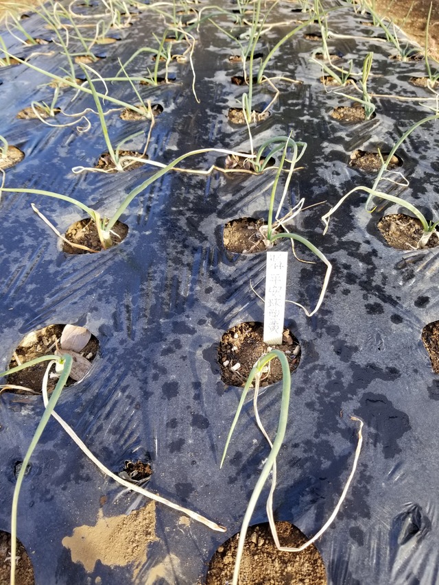 20210106_083628_copy_3024x4032