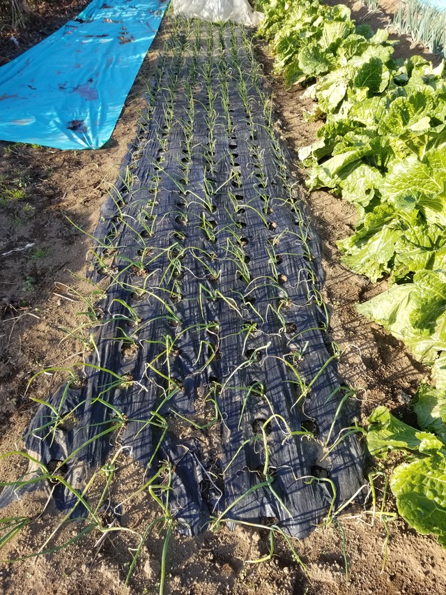 20231210_145754_copy_1512x2016