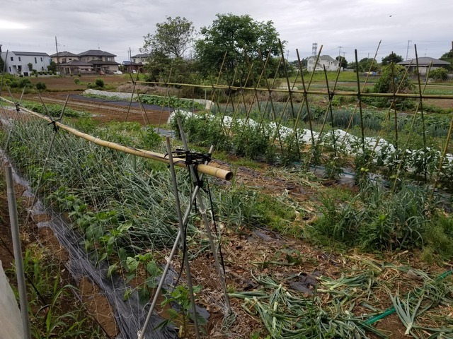 20190603_070941-2160x1620