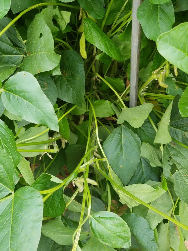 IMG_20230916_100437_copy_1512x2016