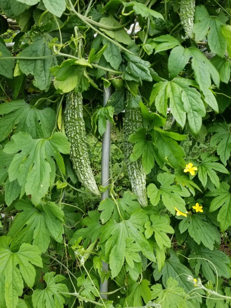 20190731_085119-1620x2160