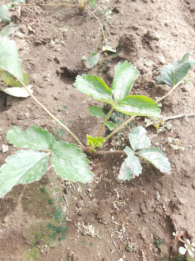 IMG_20231002_110056_copy_1512x2016