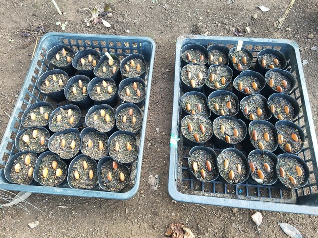 IMG_20231101_073848_DRO_copy_2016x1512