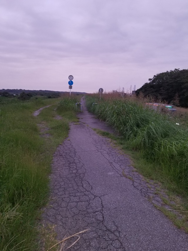 20220915_051545_copy_2268x3024