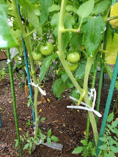 20190629_165811-1620x2160