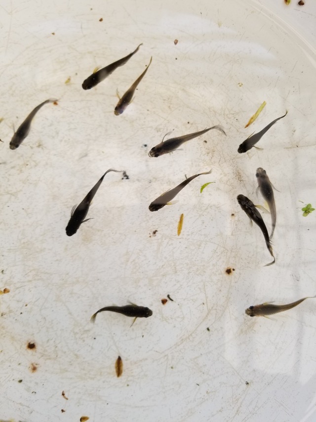 20230506_101625_copy_1512x2016