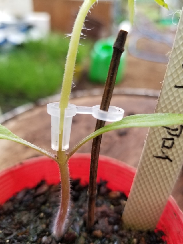 20200305_083334-2268x3024