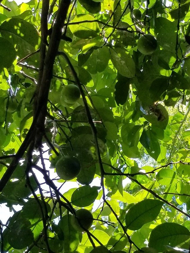 20220724_131646_copy_1512x2016