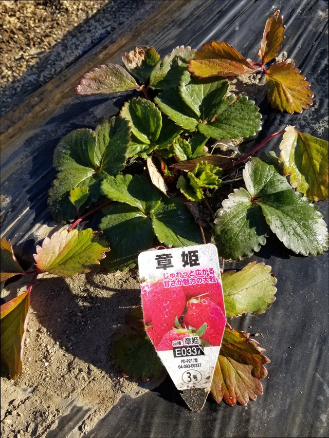 IMG_20230104_100825_copy_2272x3027