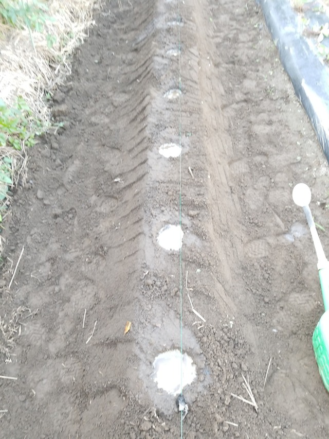 IMG_20231017_143144_copy_1512x2016