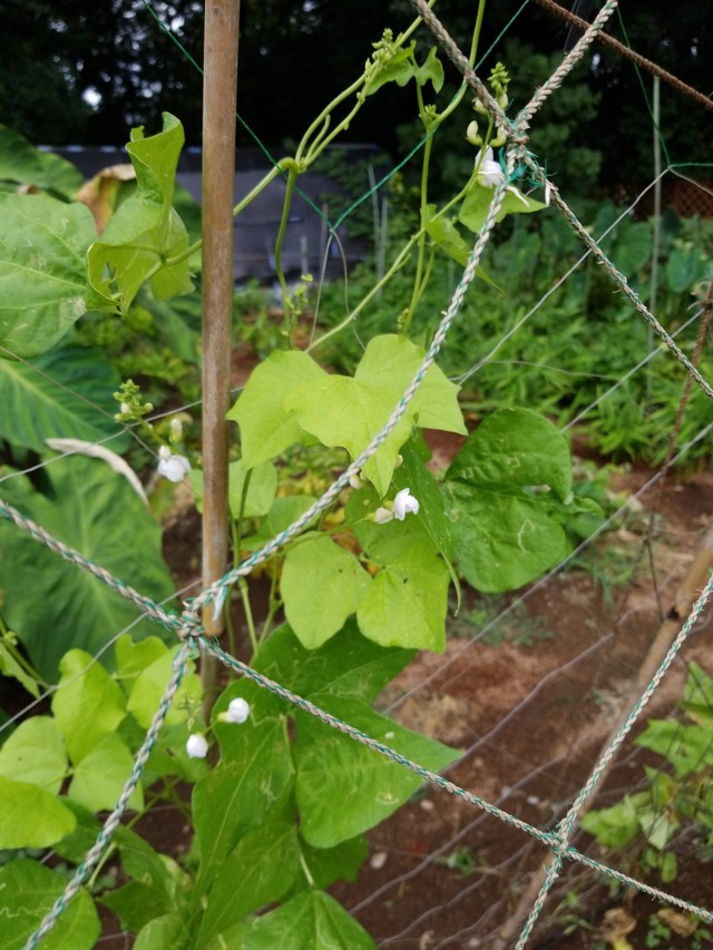 IMG_20230904_111448_copy_1512x2016