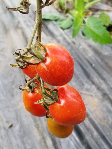 20190714_084222-1620x2160