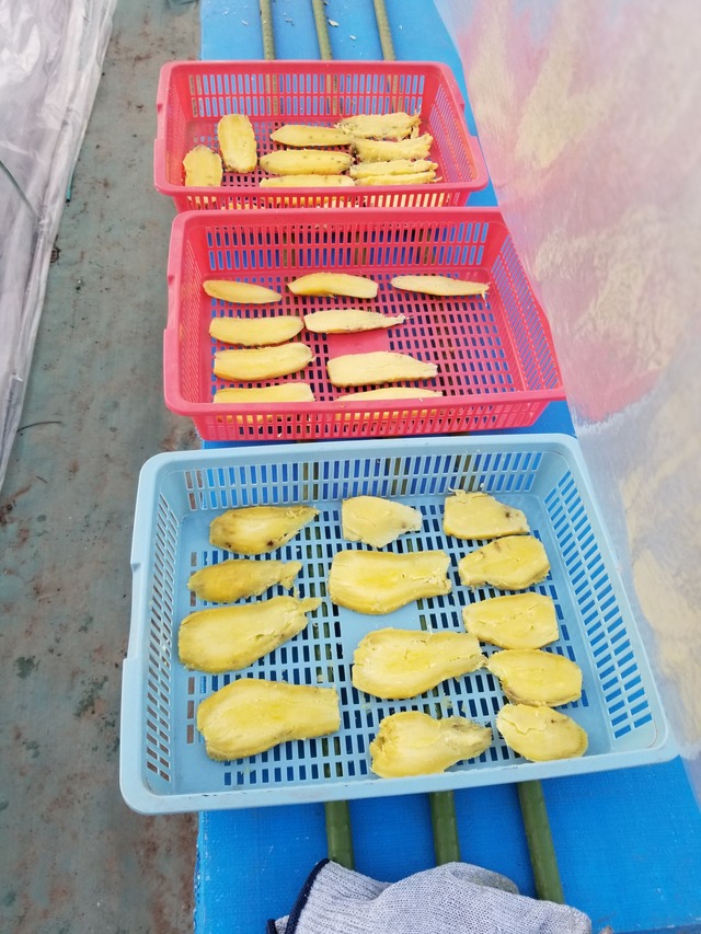 20231214_151245_copy_1512x2016