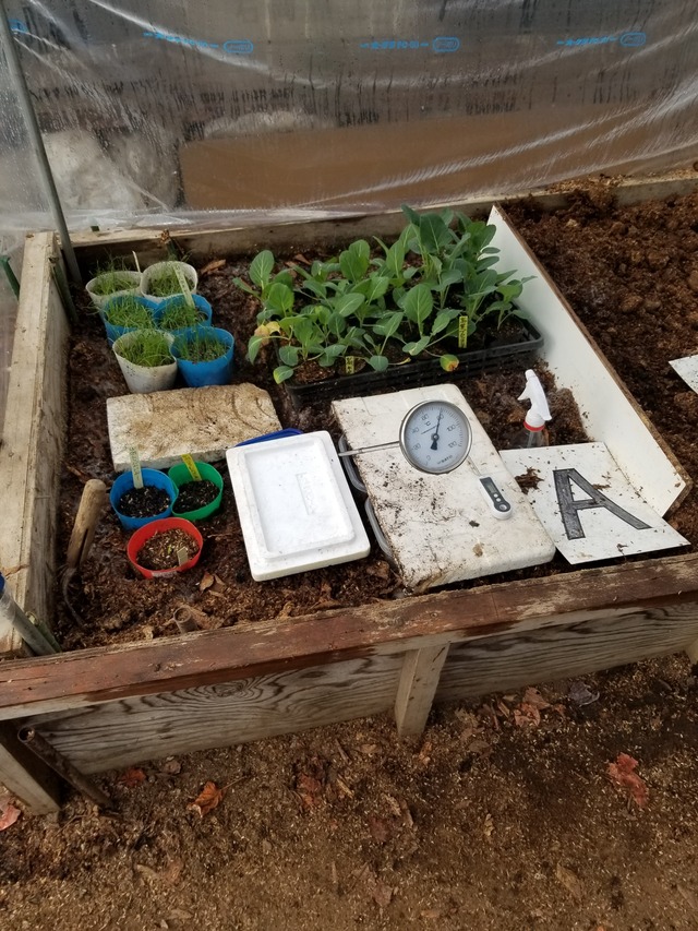 20210105_074908_copy_2268x3024