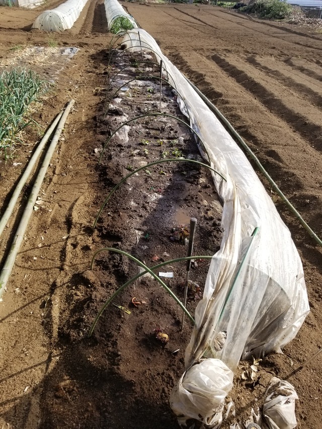 20230311_151107_copy_1209x1612