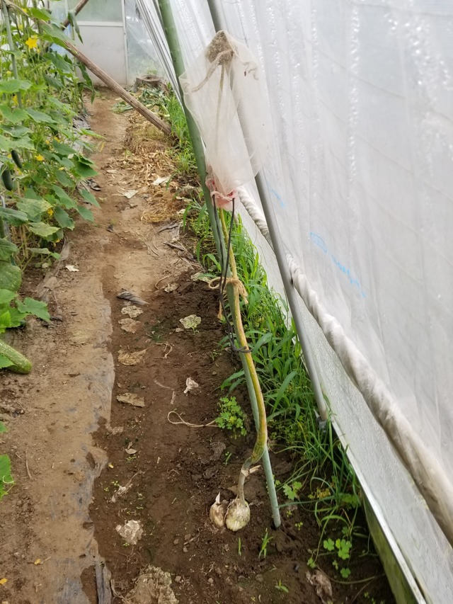 20230615_080038_copy_1512x2016