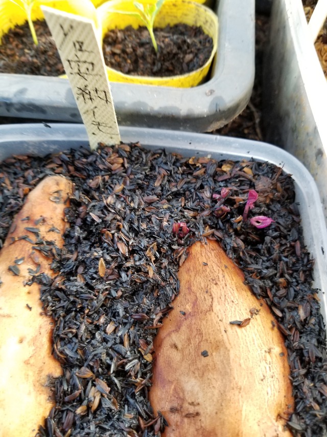 20200223_163322-2268x3024