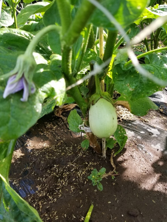 20220630_074935_copy_1512x2016