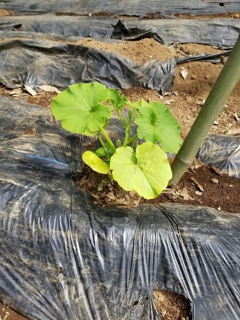 20190515_085546-1620x2160