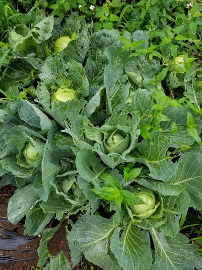 20190624_091946-1620x2160